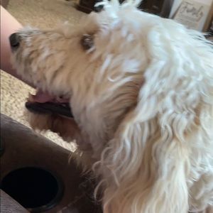 Meet your Posher, Kelli